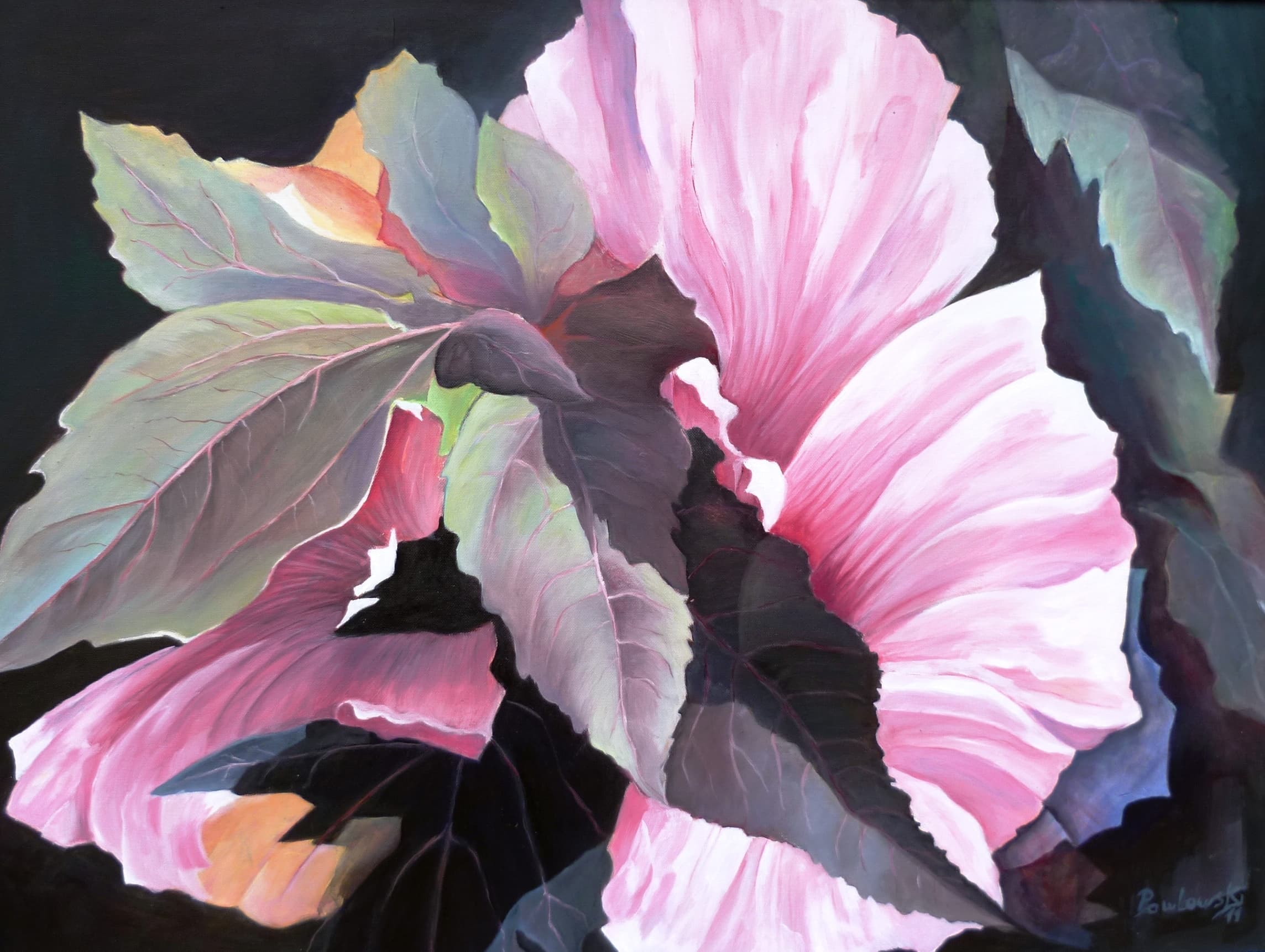 Hibiskusblüte mit Schatten