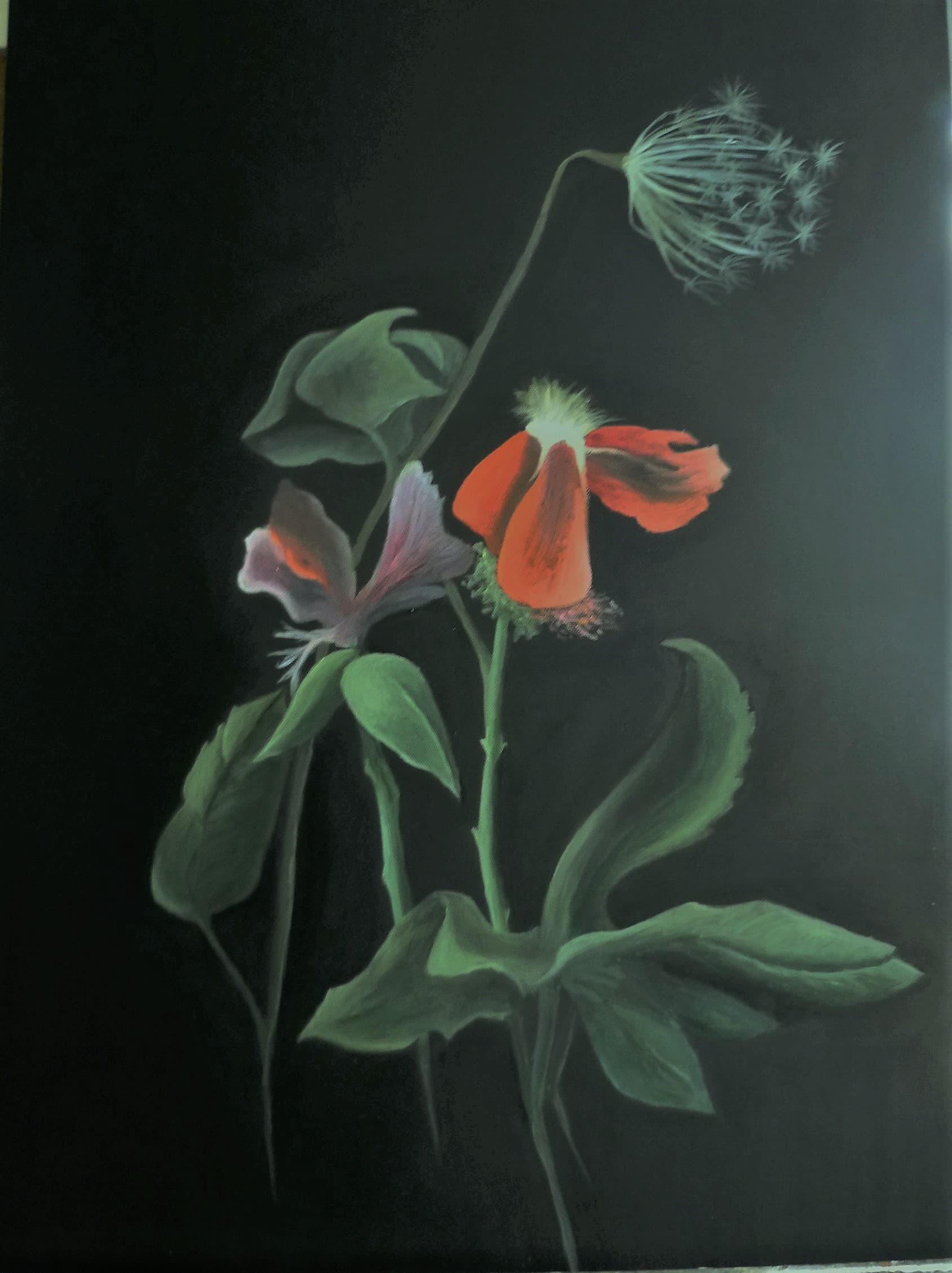 Schwarz mit Rot